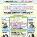 京都府生活・就労一体型支援事業のWebサイト新規制作・チラシ制作 (京都府様) 京都府生活・就労一体型支援事業のWebサイト新規制作・チラシ制作 (京都府様)